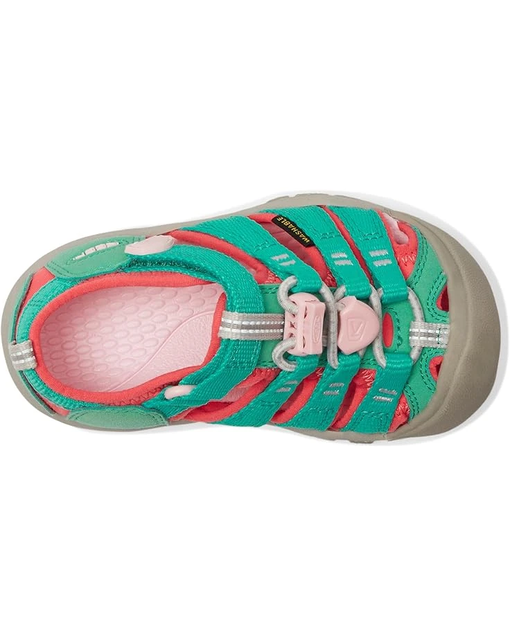 KEEN Kids Newport H2 (Toddler/Little Kid) | Sandals - Image 2