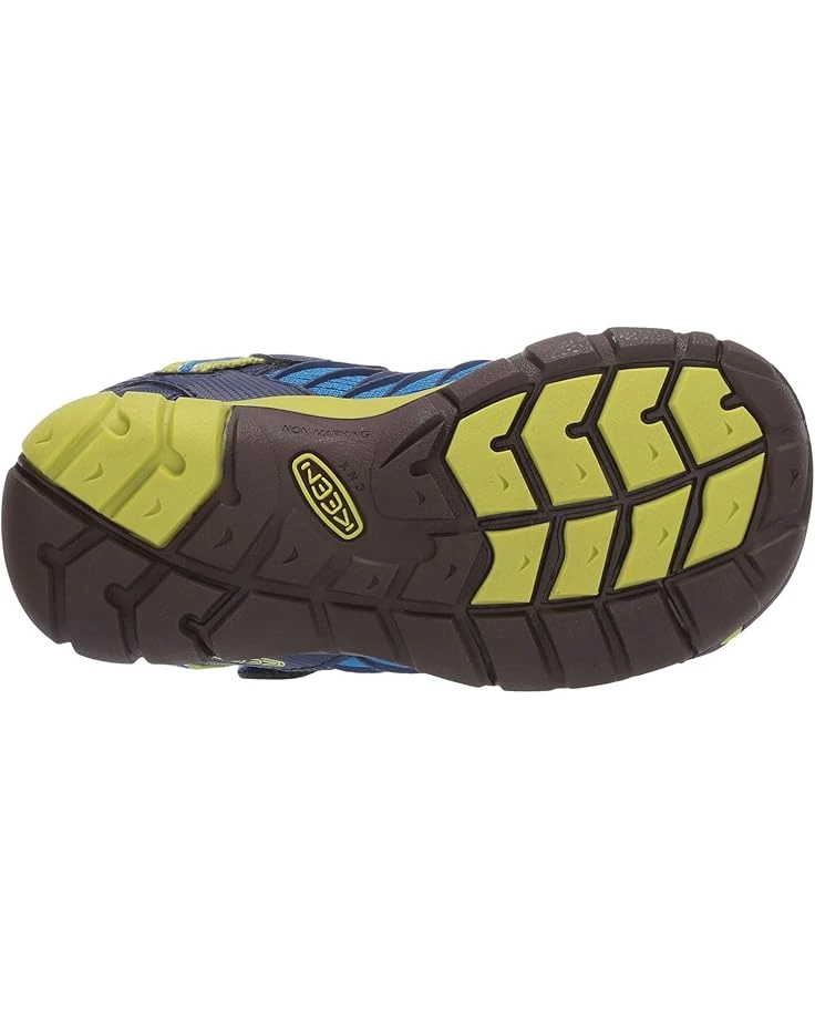 KEEN Kids Chandler CNX (Toddler/Little Kid) | Hiking - Image 3