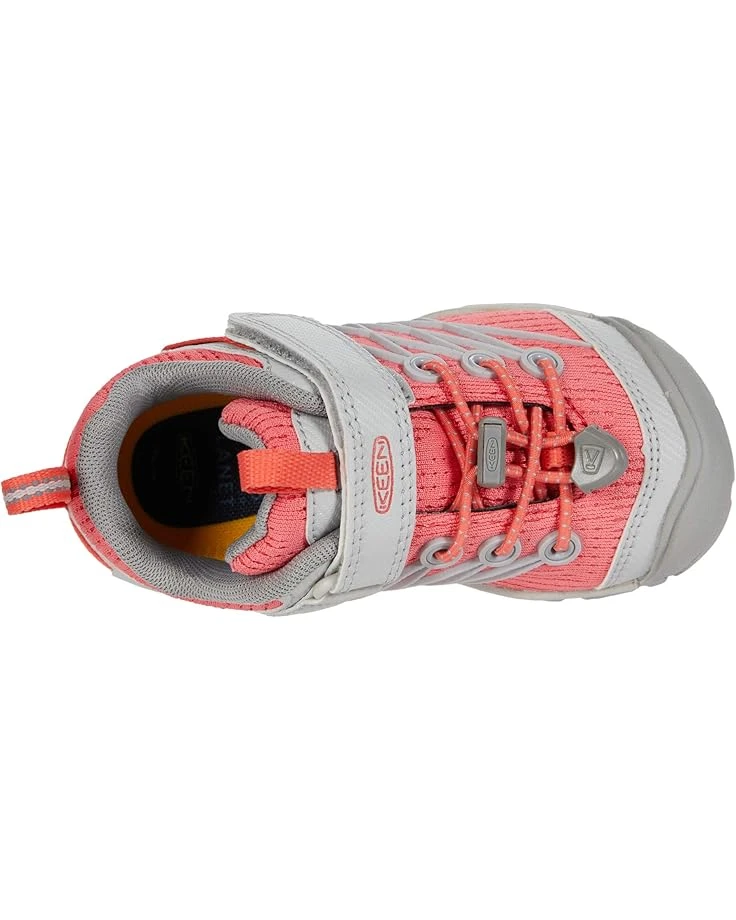 KEEN Kids Chandler CNX (Toddler/Little Kid) | Hiking - Image 2