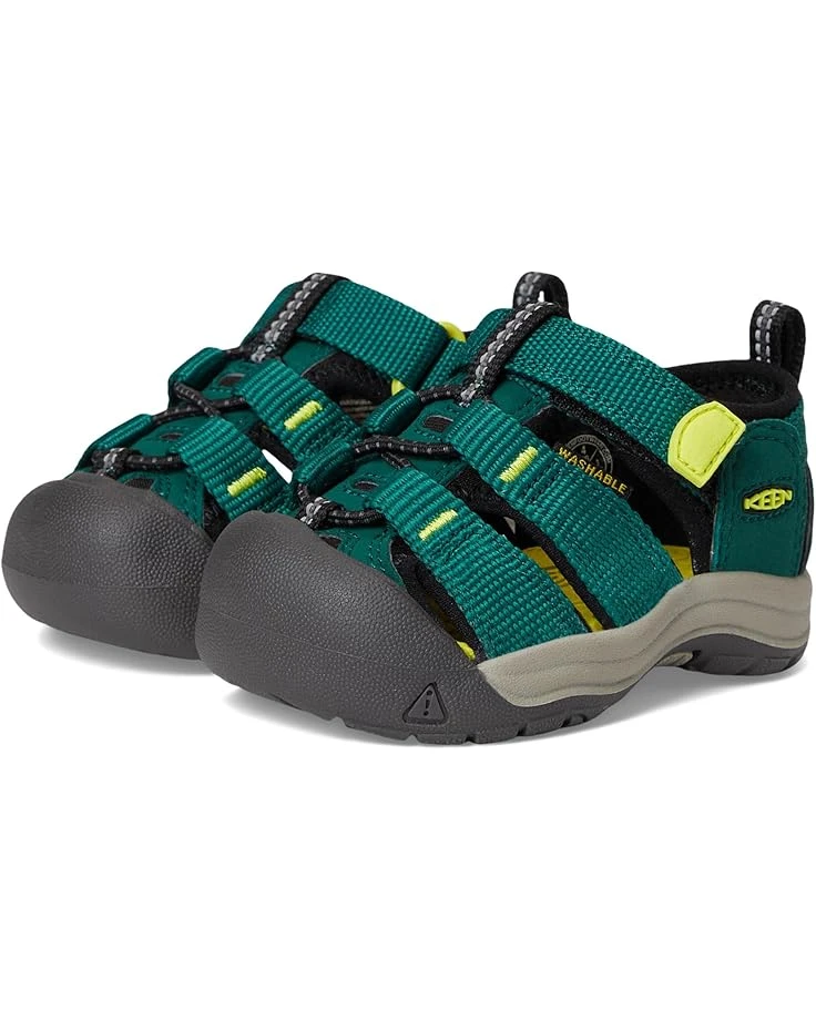 KEEN Kids Newport H2 (Toddler) | Sandals