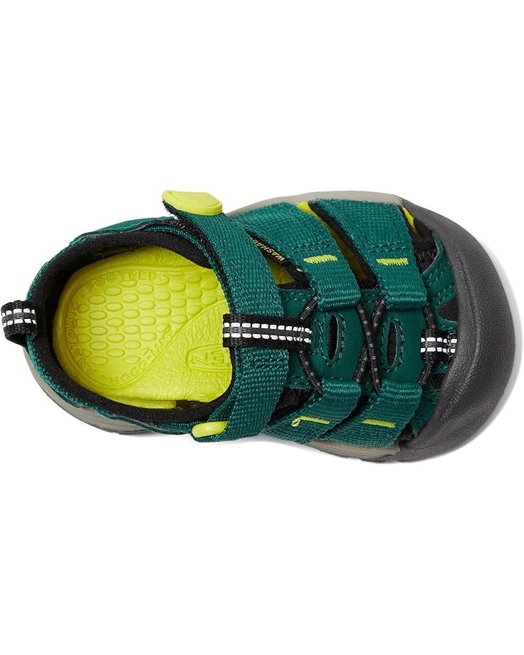 KEEN Kids Newport H2 (Toddler) | Sandals - Image 2